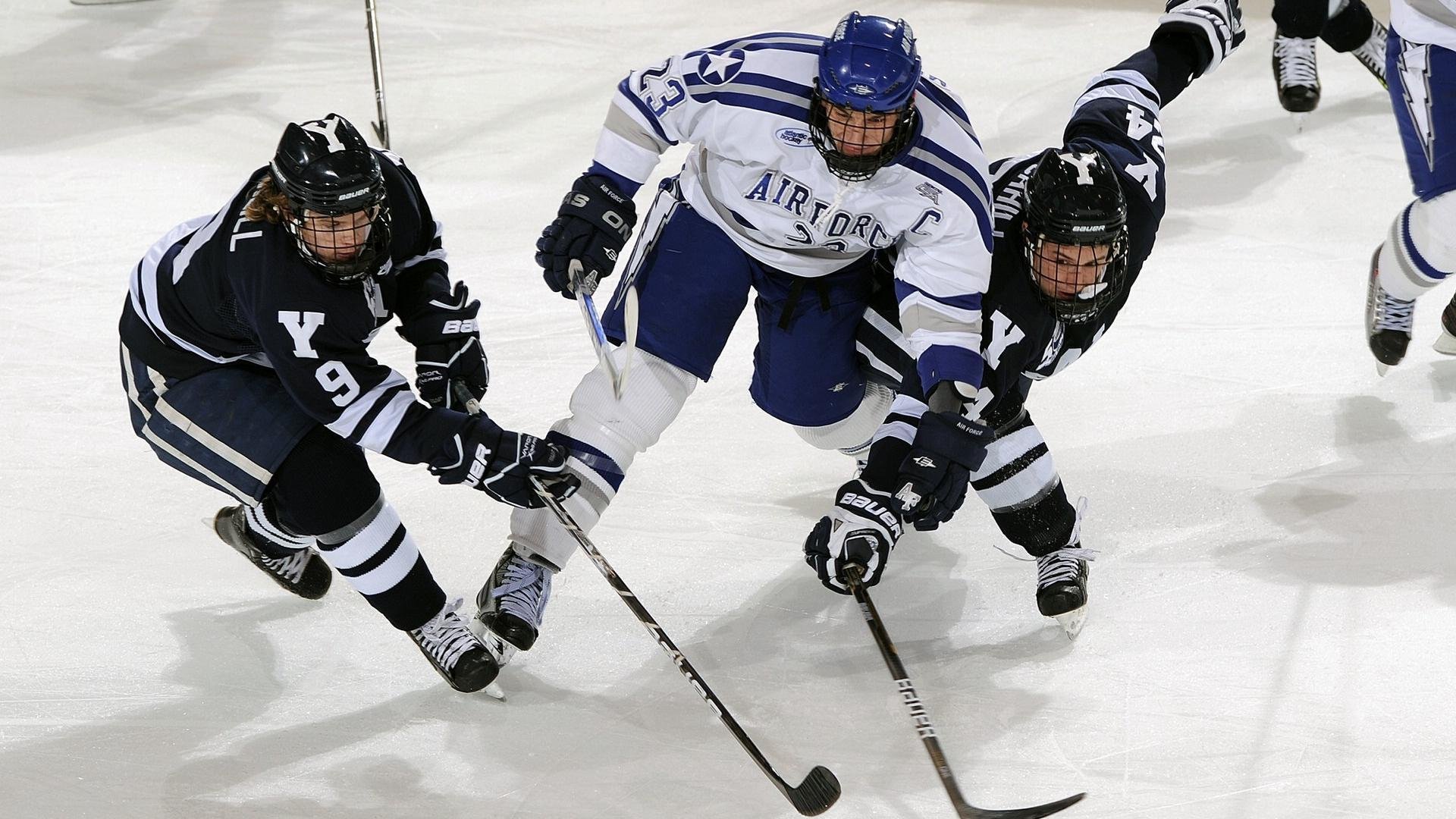 开云真人体育娱乐-法国举办篮球文化节，法国篮球赛制